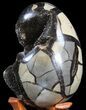 Septarian Dragon Egg Geode - Crystal Filled #40894-2
